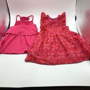 Bundle 2 girl toddler dresses 3t and 2t